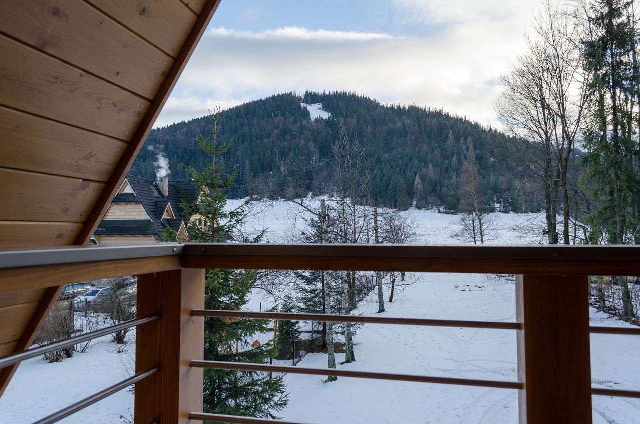 Villa Nosal - Закопане Экстерьер фото