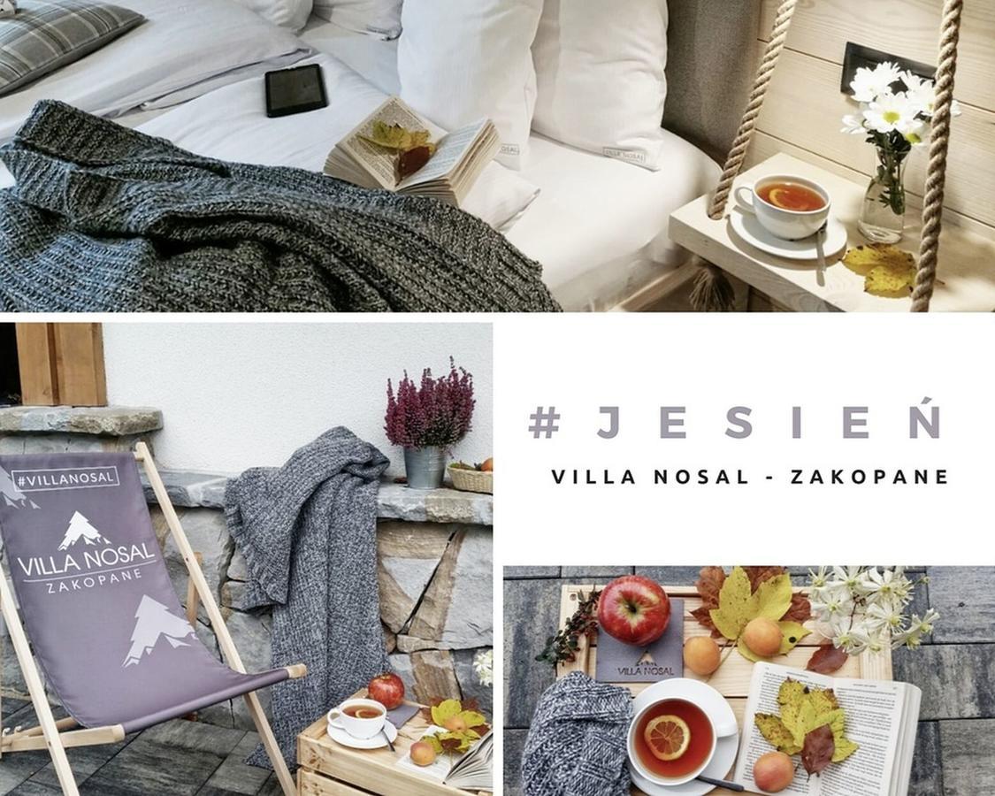 Villa Nosal - Закопане Экстерьер фото